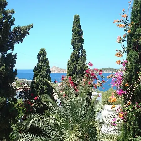 Pegasus 마소우리