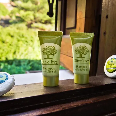 Pegasus 마소우리