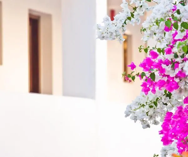 Ξενοδοχείο με διαμερίσματα Pegasus 2*