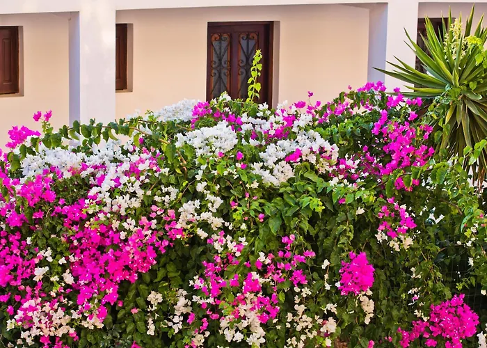 Pegasus 2* Μασούρι