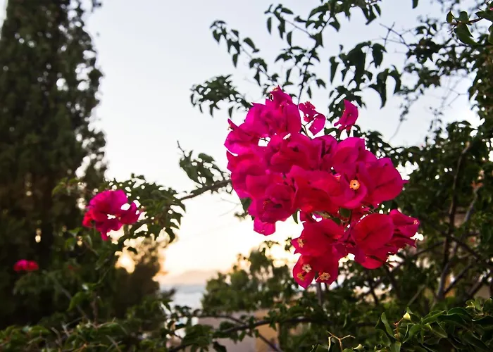 Appart hôtel Pegasus