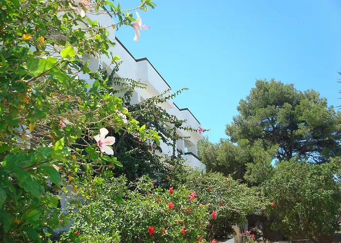 מלון דירות Pegasus