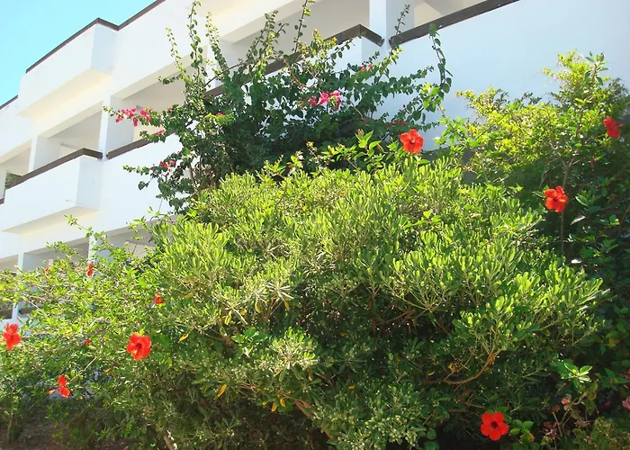 מלון דירות Pegasus